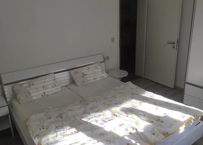 Seibel פיספורט